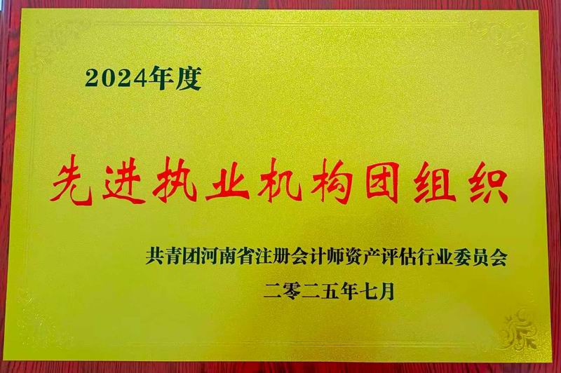 2024年度先进执业机构团组织
