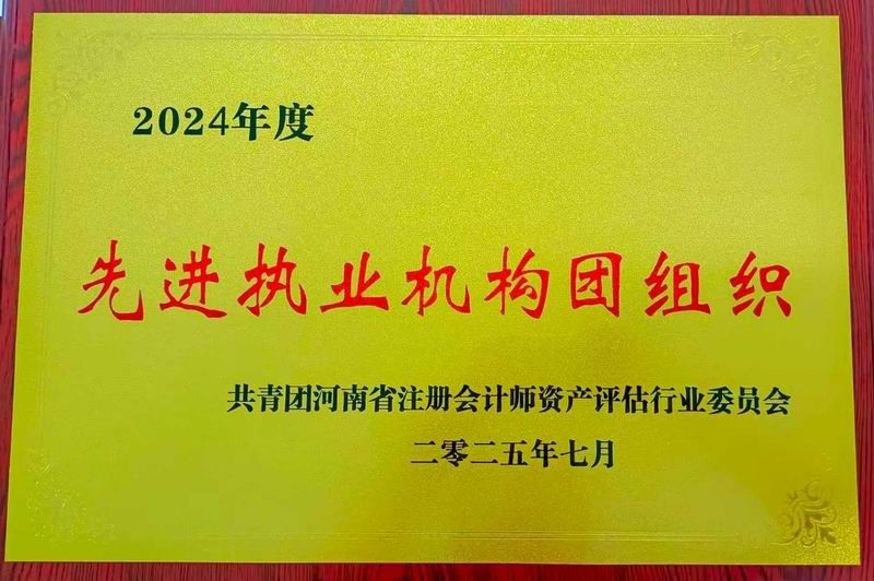 2024年度先进执业机构团组织