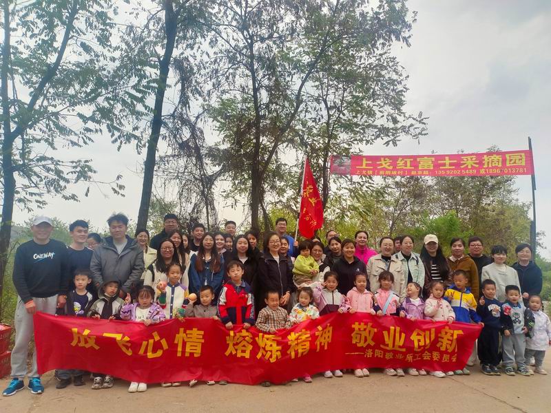 图片11